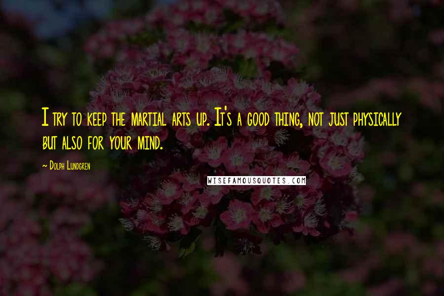 Dolph Lundgren Quotes: I try to keep the martial arts up. It's a good thing, not just physically but also for your mind.