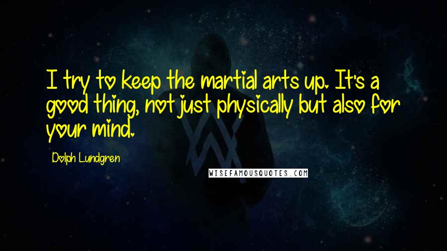 Dolph Lundgren Quotes: I try to keep the martial arts up. It's a good thing, not just physically but also for your mind.