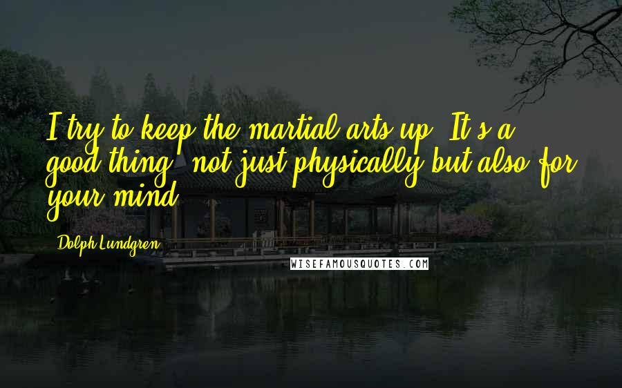 Dolph Lundgren Quotes: I try to keep the martial arts up. It's a good thing, not just physically but also for your mind.