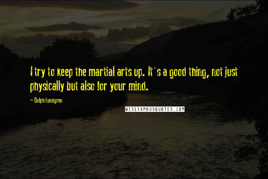 Dolph Lundgren Quotes: I try to keep the martial arts up. It's a good thing, not just physically but also for your mind.