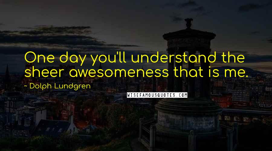 Dolph Lundgren Quotes: One day you'll understand the sheer awesomeness that is me.