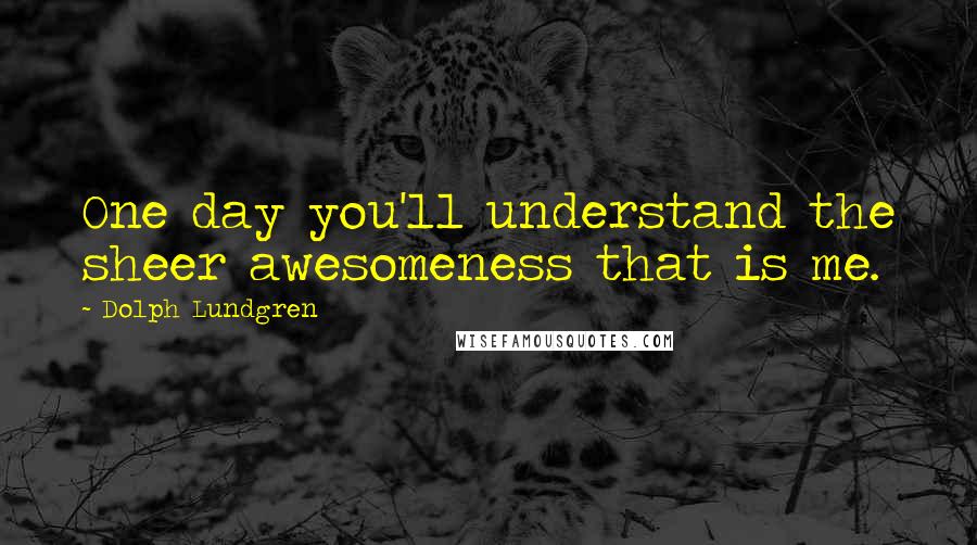 Dolph Lundgren Quotes: One day you'll understand the sheer awesomeness that is me.