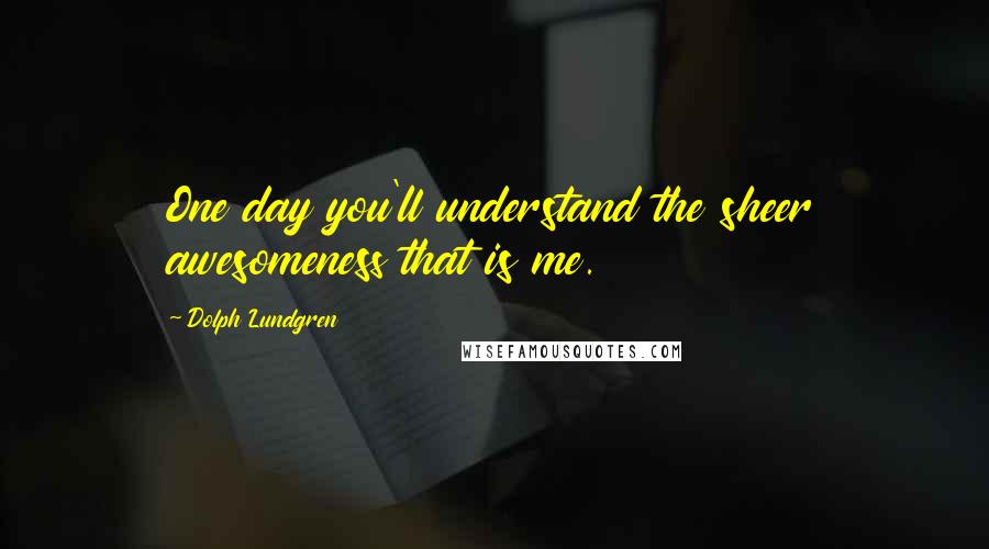 Dolph Lundgren Quotes: One day you'll understand the sheer awesomeness that is me.