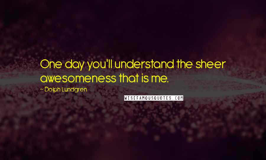 Dolph Lundgren Quotes: One day you'll understand the sheer awesomeness that is me.