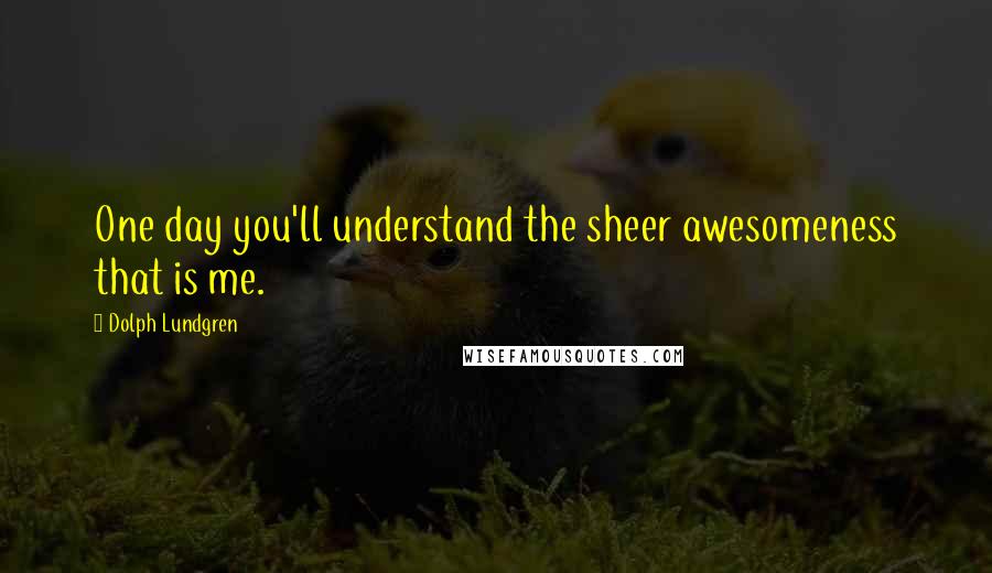 Dolph Lundgren Quotes: One day you'll understand the sheer awesomeness that is me.