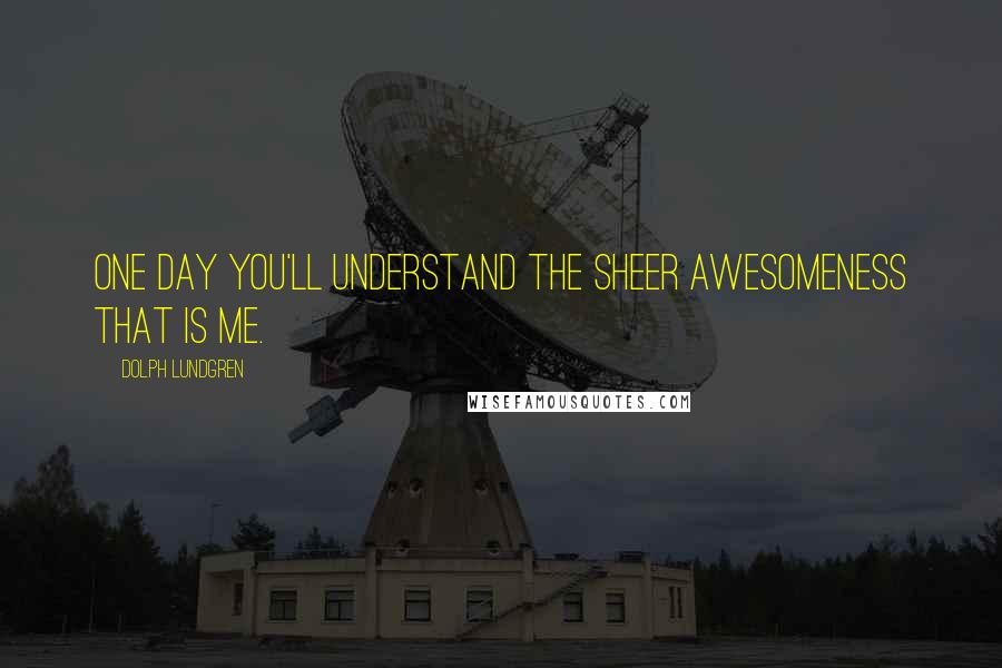 Dolph Lundgren Quotes: One day you'll understand the sheer awesomeness that is me.