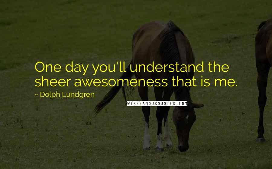 Dolph Lundgren Quotes: One day you'll understand the sheer awesomeness that is me.