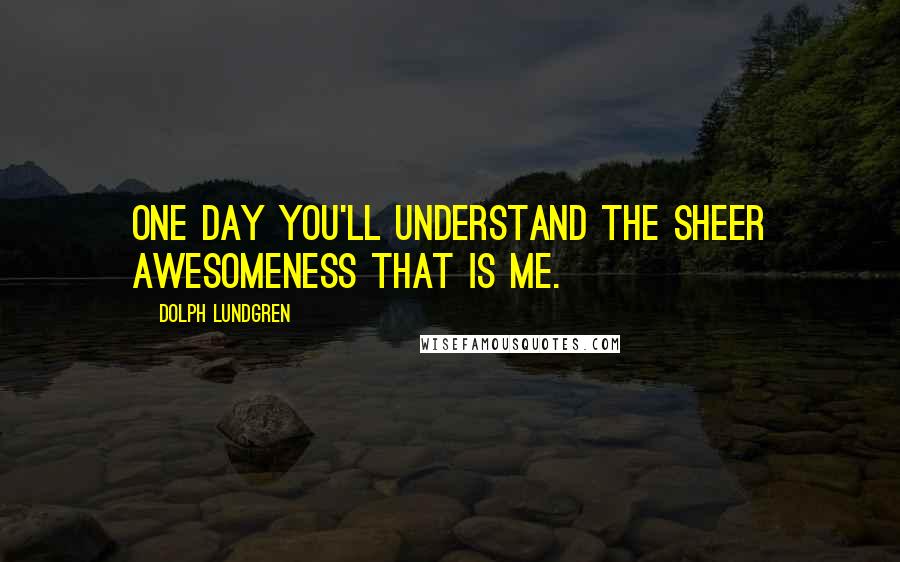 Dolph Lundgren Quotes: One day you'll understand the sheer awesomeness that is me.