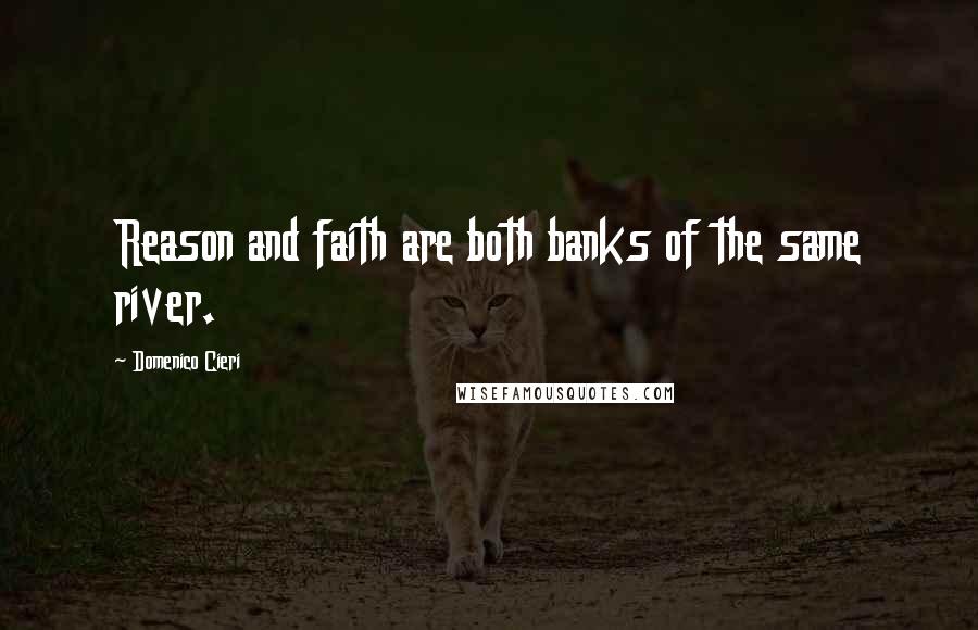 Domenico Cieri Quotes: Reason and faith are both banks of the same river.