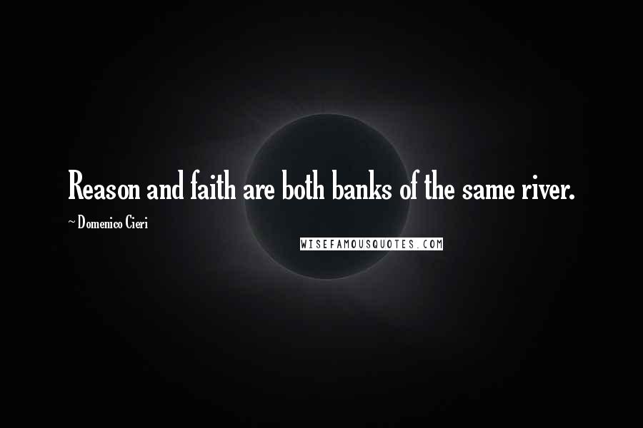 Domenico Cieri Quotes: Reason and faith are both banks of the same river.
