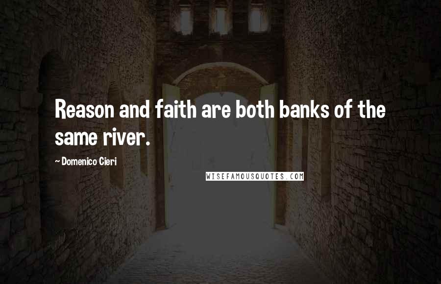 Domenico Cieri Quotes: Reason and faith are both banks of the same river.