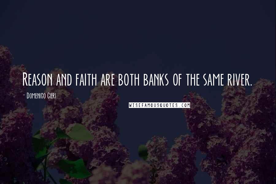 Domenico Cieri Quotes: Reason and faith are both banks of the same river.