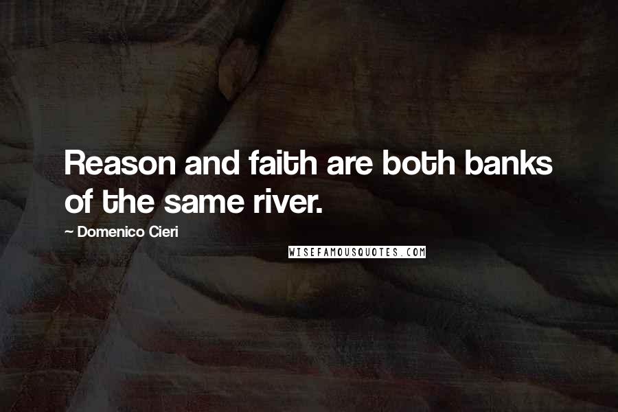 Domenico Cieri Quotes: Reason and faith are both banks of the same river.