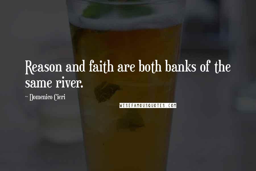 Domenico Cieri Quotes: Reason and faith are both banks of the same river.