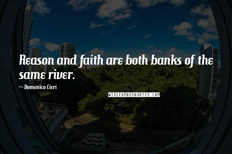 Domenico Cieri Quotes: Reason and faith are both banks of the same river.