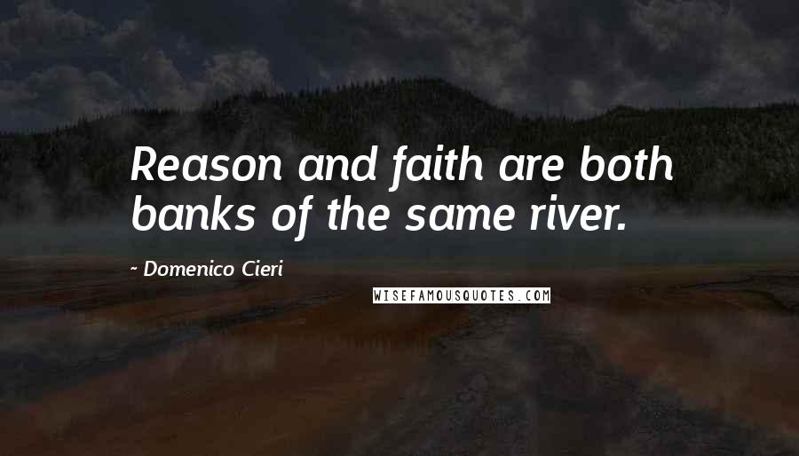 Domenico Cieri Quotes: Reason and faith are both banks of the same river.