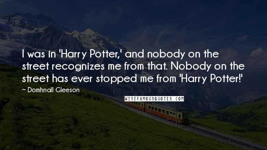 Domhnall Gleeson Quotes: I was in 'Harry Potter,' and nobody on the street recognizes me from that. Nobody on the street has ever stopped me from 'Harry Potter!'