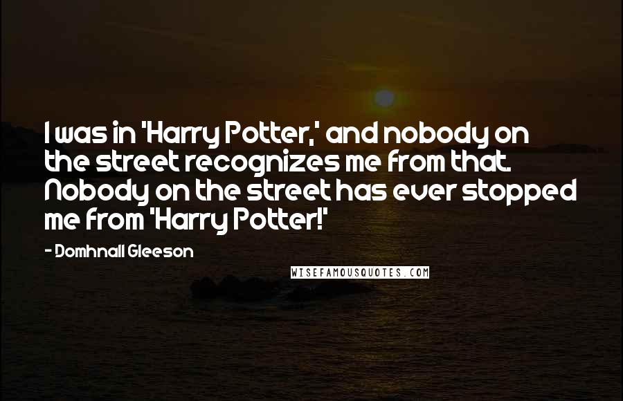 Domhnall Gleeson Quotes: I was in 'Harry Potter,' and nobody on the street recognizes me from that. Nobody on the street has ever stopped me from 'Harry Potter!'
