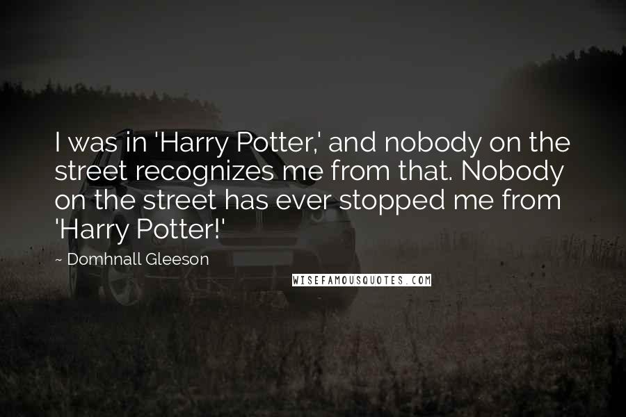 Domhnall Gleeson Quotes: I was in 'Harry Potter,' and nobody on the street recognizes me from that. Nobody on the street has ever stopped me from 'Harry Potter!'