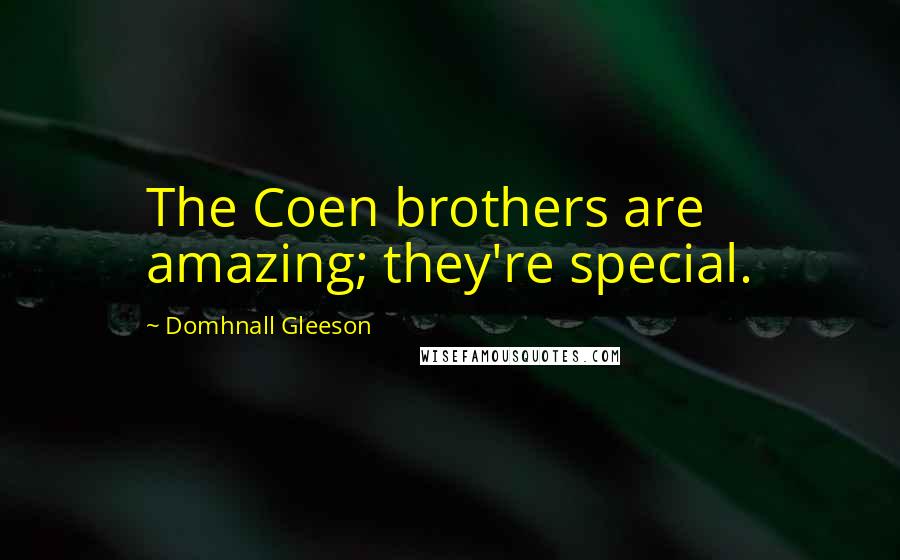 Domhnall Gleeson Quotes: The Coen brothers are amazing; they're special.