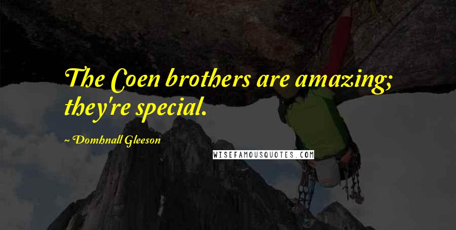 Domhnall Gleeson Quotes: The Coen brothers are amazing; they're special.