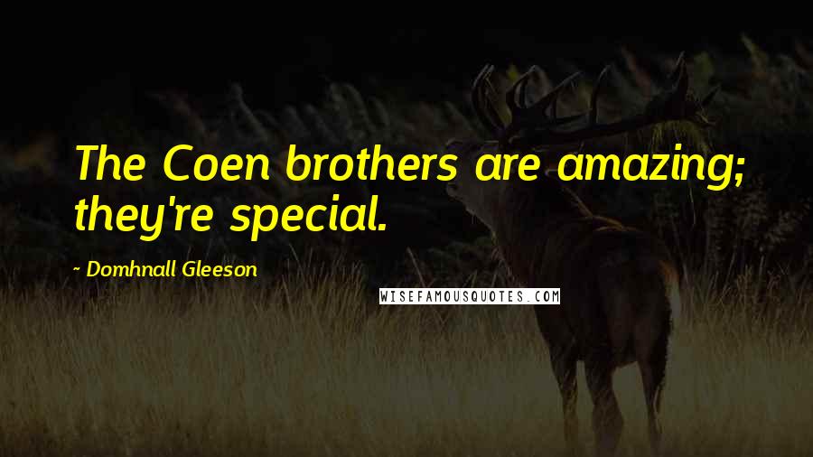 Domhnall Gleeson Quotes: The Coen brothers are amazing; they're special.