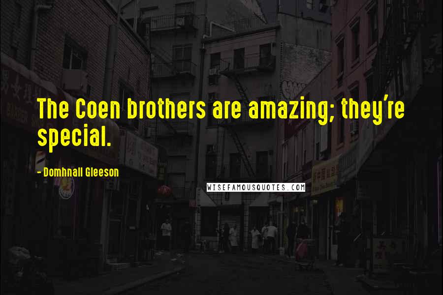 Domhnall Gleeson Quotes: The Coen brothers are amazing; they're special.