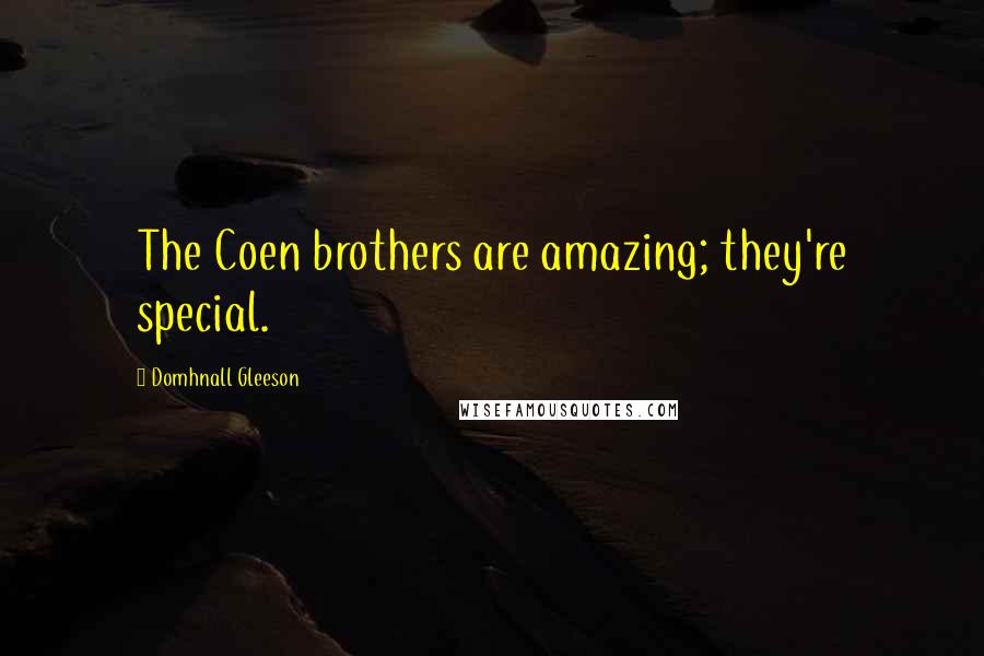 Domhnall Gleeson Quotes: The Coen brothers are amazing; they're special.