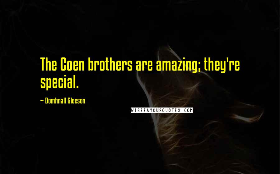 Domhnall Gleeson Quotes: The Coen brothers are amazing; they're special.