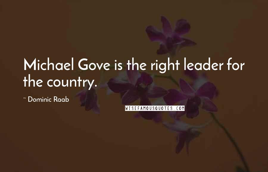 Dominic Raab Quotes: Michael Gove is the right leader for the country.