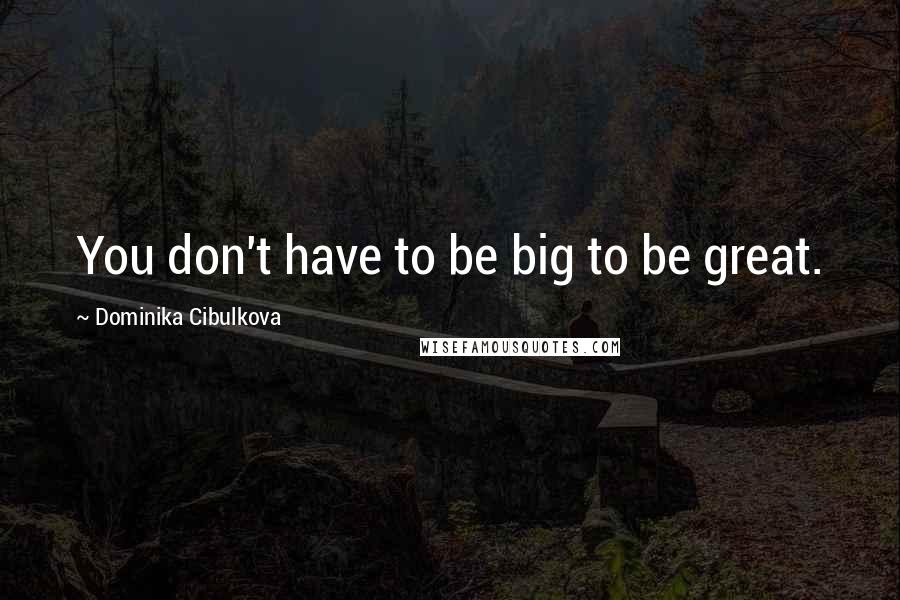 Dominika Cibulkova Quotes: You don't have to be big to be great.