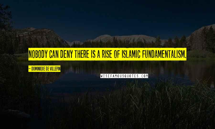 Dominique De Villepin Quotes: Nobody can deny there is a rise of Islamic fundamentalism.