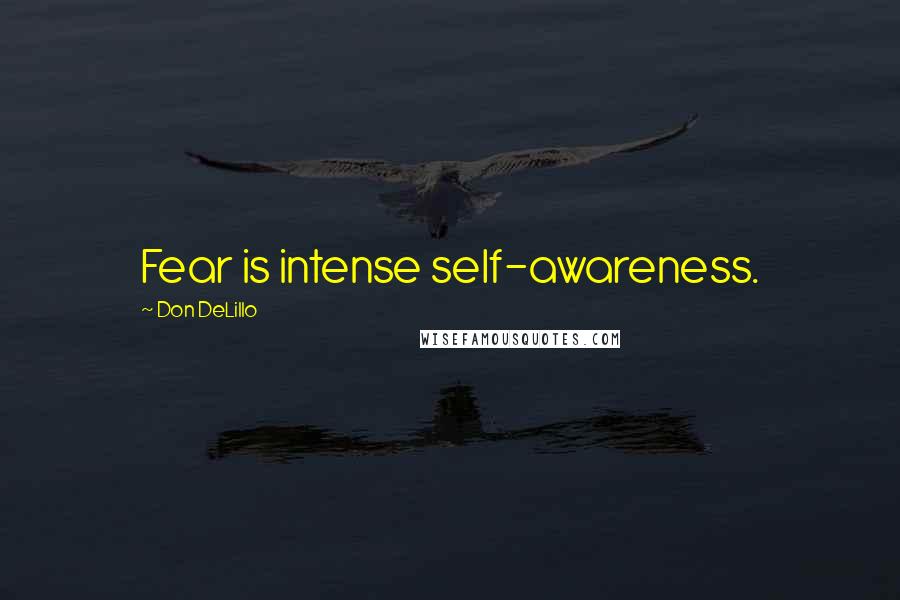 Don DeLillo Quotes: Fear is intense self-awareness.