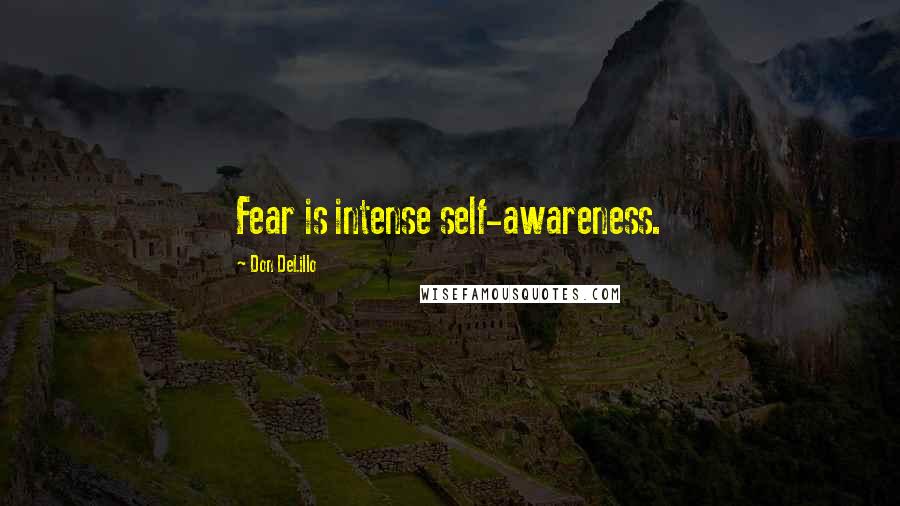 Don DeLillo Quotes: Fear is intense self-awareness.