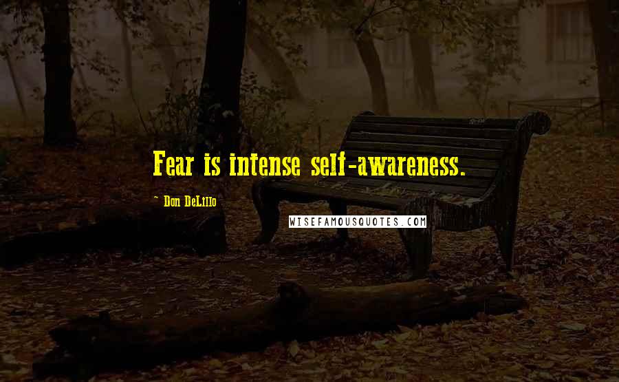 Don DeLillo Quotes: Fear is intense self-awareness.
