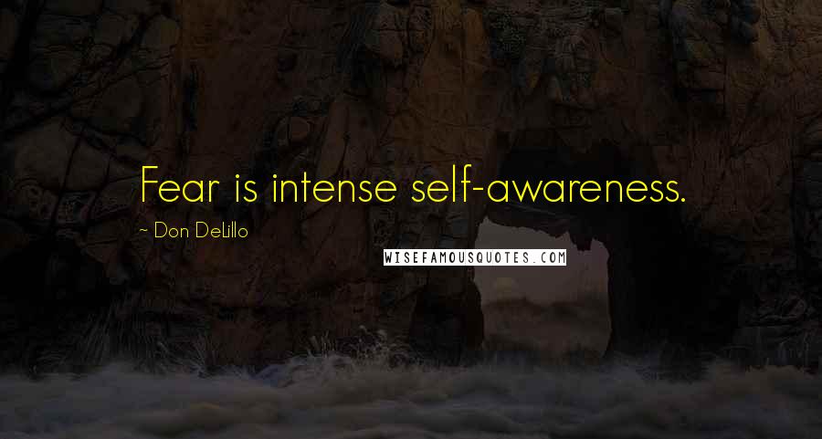Don DeLillo Quotes: Fear is intense self-awareness.