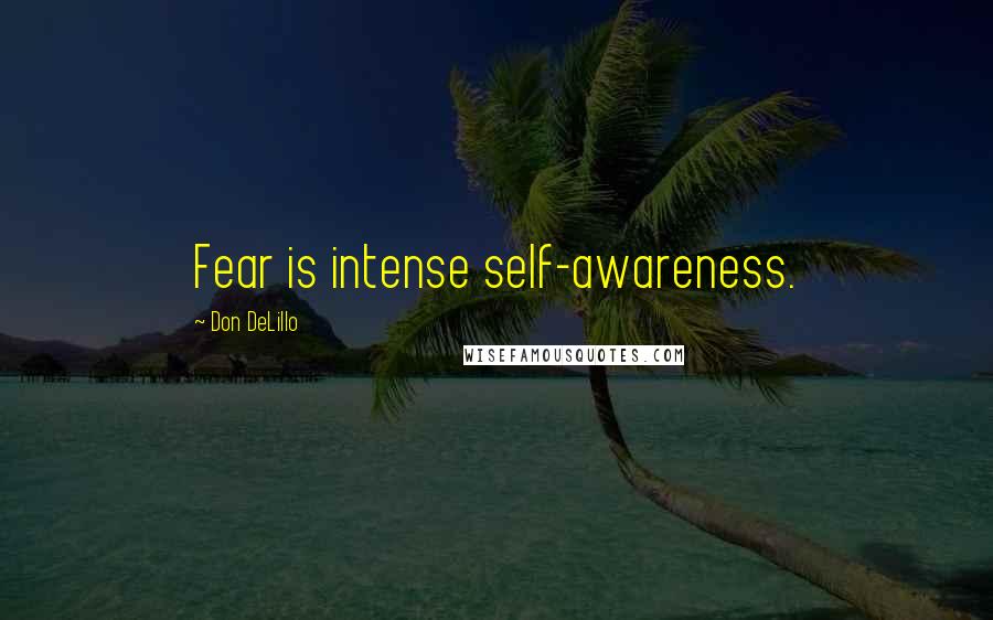 Don DeLillo Quotes: Fear is intense self-awareness.