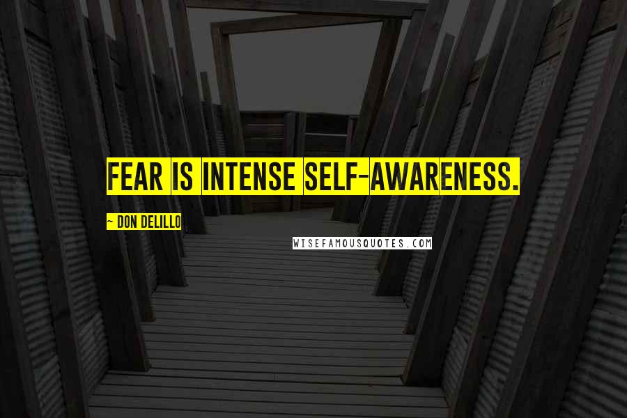 Don DeLillo Quotes: Fear is intense self-awareness.