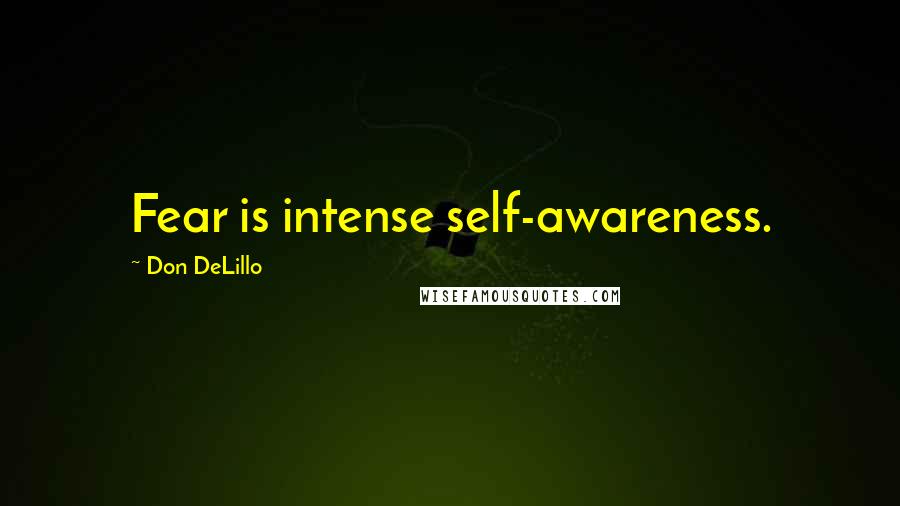 Don DeLillo Quotes: Fear is intense self-awareness.