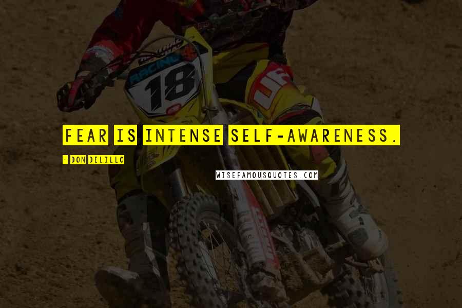 Don DeLillo Quotes: Fear is intense self-awareness.