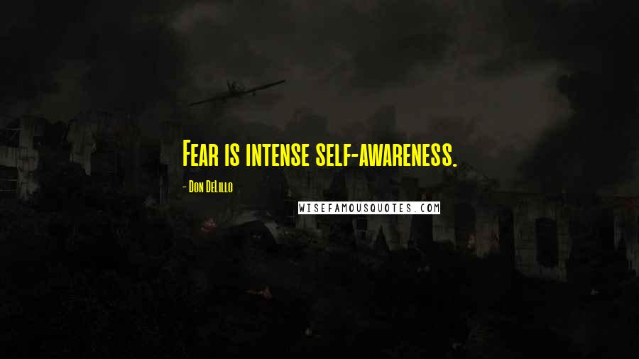 Don DeLillo Quotes: Fear is intense self-awareness.