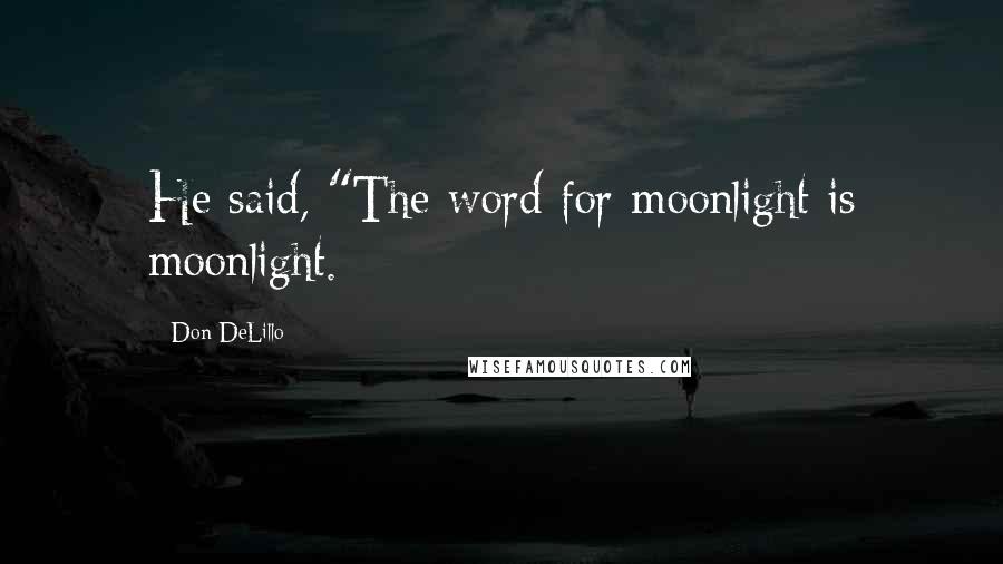 Don DeLillo Quotes: He said, "The word for moonlight is moonlight.