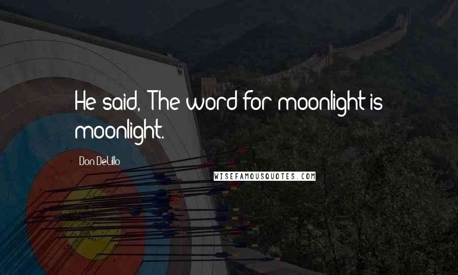 Don DeLillo Quotes: He said, "The word for moonlight is moonlight.