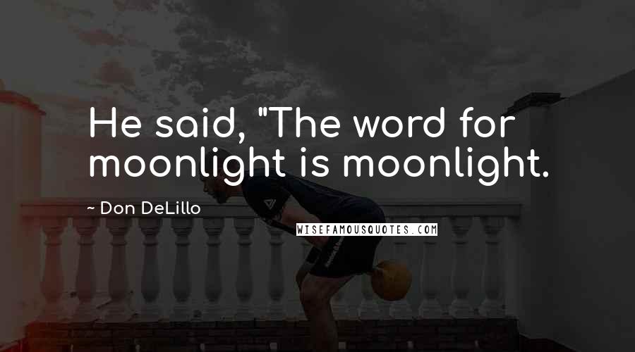 Don DeLillo Quotes: He said, "The word for moonlight is moonlight.