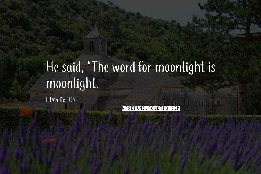 Don DeLillo Quotes: He said, "The word for moonlight is moonlight.