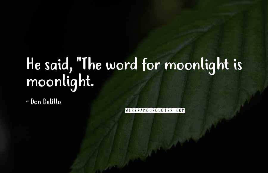 Don DeLillo Quotes: He said, "The word for moonlight is moonlight.