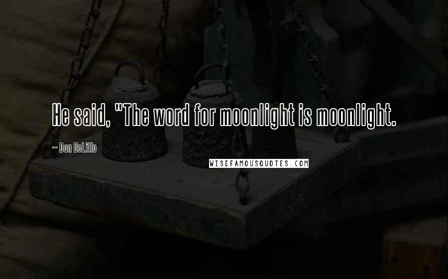 Don DeLillo Quotes: He said, "The word for moonlight is moonlight.