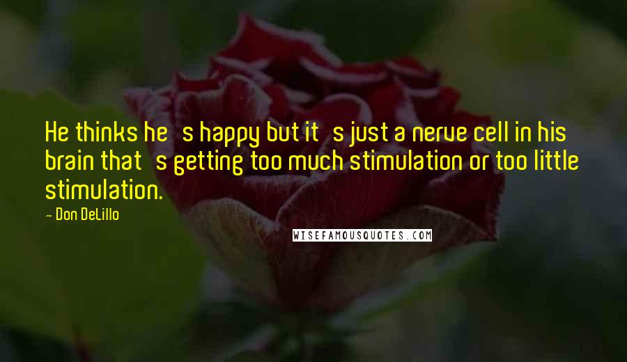 Don DeLillo Quotes: He thinks he's happy but it's just a nerve cell in his brain that's getting too much stimulation or too little stimulation.