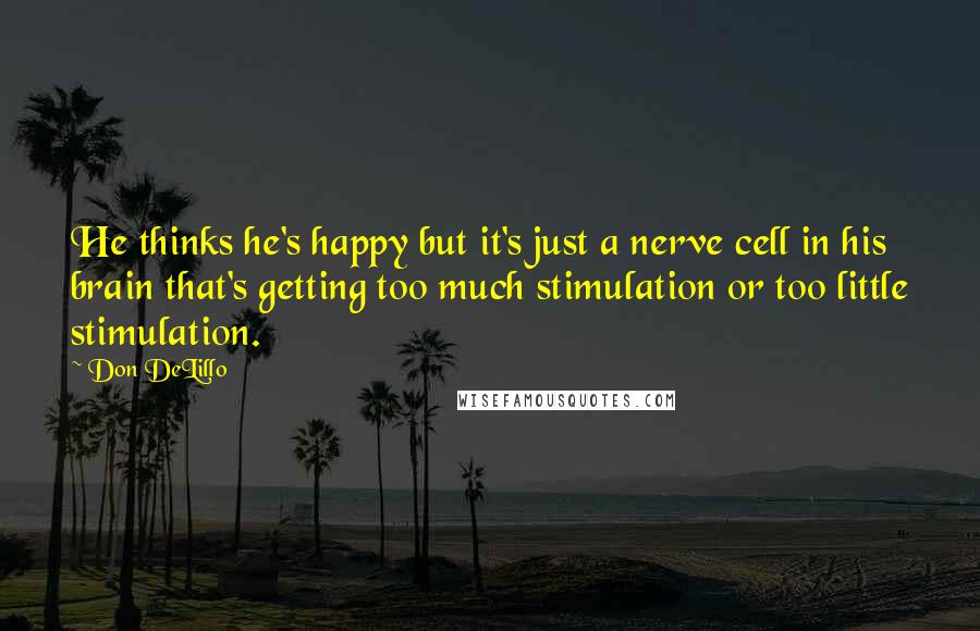 Don DeLillo Quotes: He thinks he's happy but it's just a nerve cell in his brain that's getting too much stimulation or too little stimulation.
