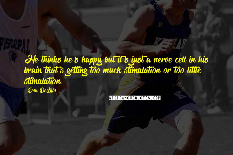 Don DeLillo Quotes: He thinks he's happy but it's just a nerve cell in his brain that's getting too much stimulation or too little stimulation.